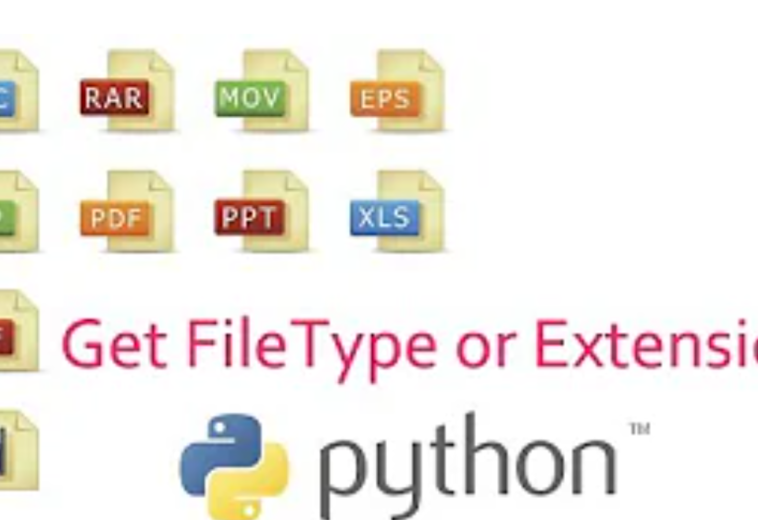 Python Tutorial – How to Check File Extension Using Python | File Handling in Python