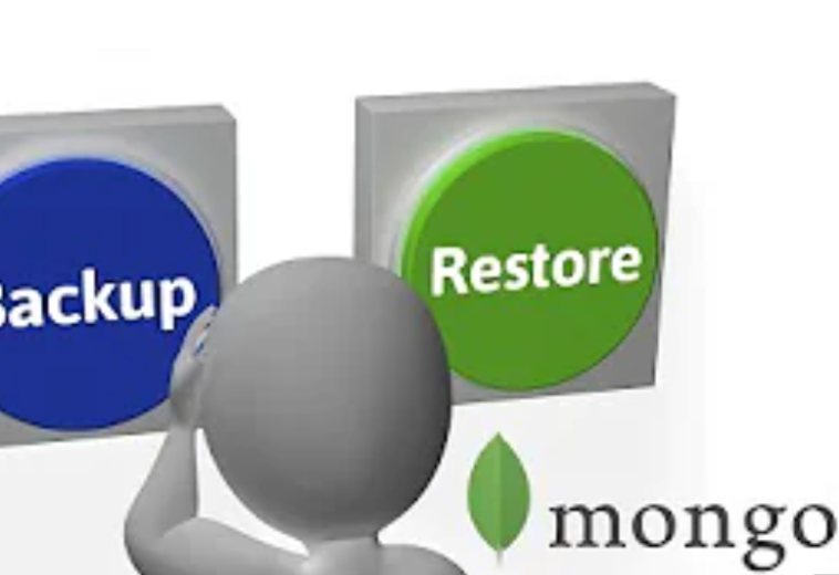 MongoDB Database Backup and Restore Tutorial | VFX Pipeline