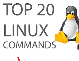 Must-Know Linux Commands – Boost Your Command-Line Skills!